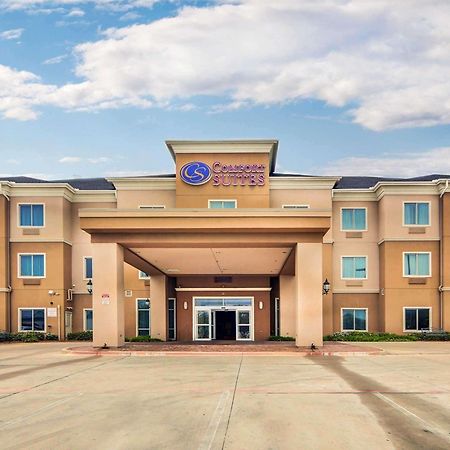 Comfort Suites Fort Worth South Buitenkant foto